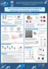 P16 Real structure of nanocrystals revealed by diffraction and computer simulations